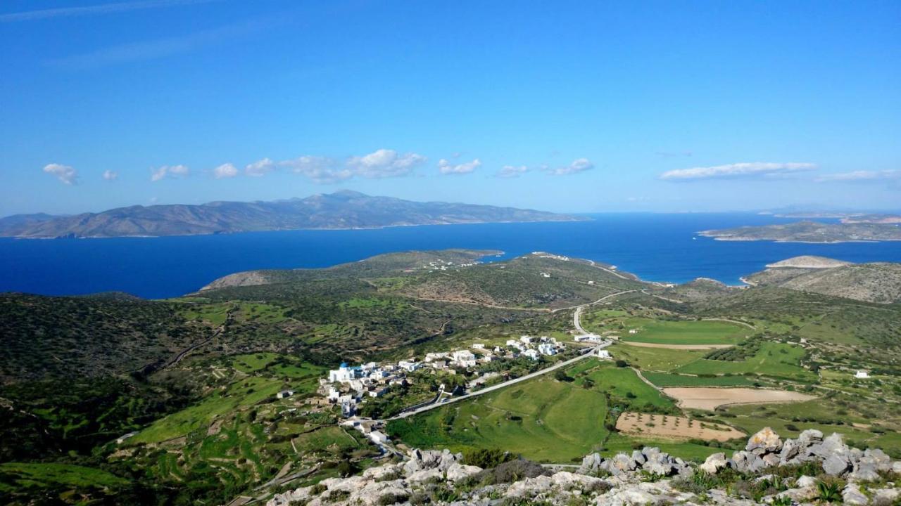 Villa Zografos 이라클리아 외부 사진
